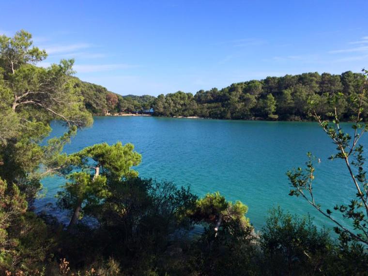 10418914_10153044315136046_2753474527725403519_n