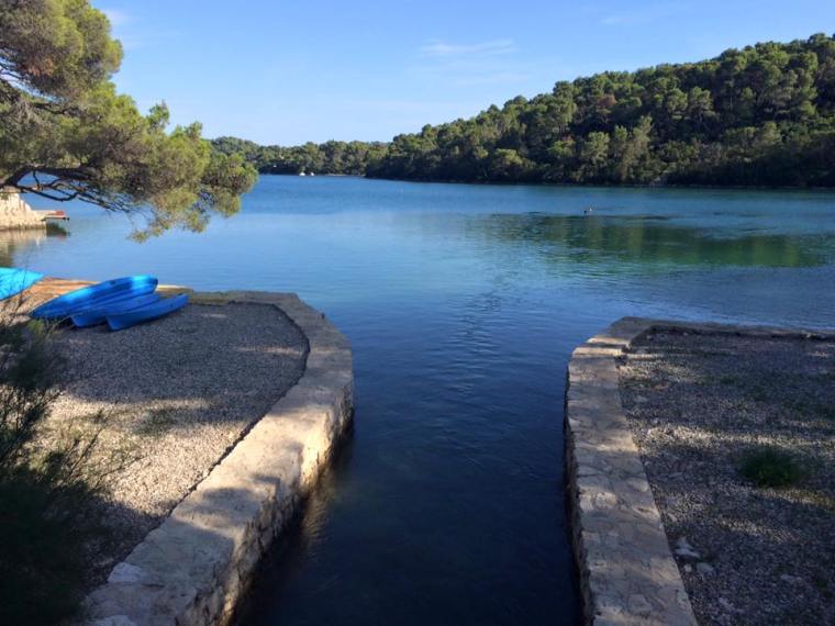 11226005_10153044315191046_2749984802997121161_n